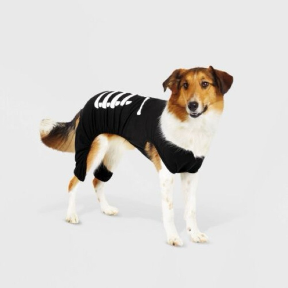 Target Black Skeleton Dog Costume